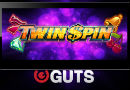 Twin_SPin_Mobile_Guts-130x90