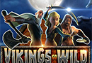 vikings liten